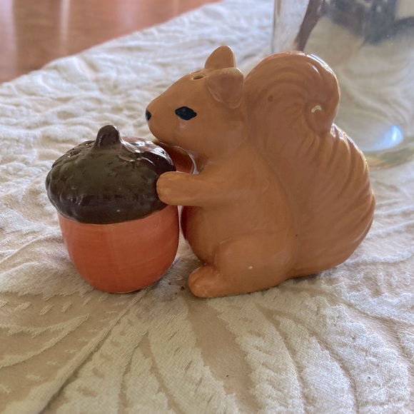 Other - Squirrel and Nut Salt and Pepper Shakers